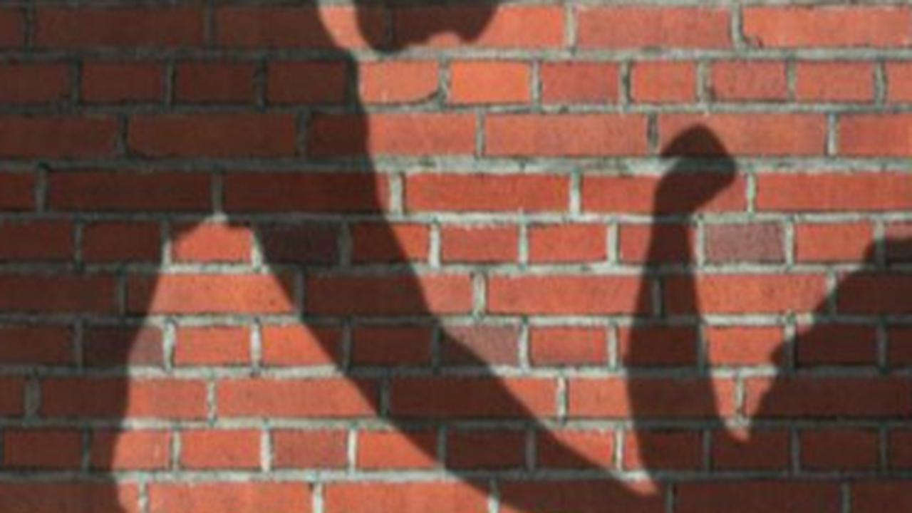 KPAI Soroti Kasus Kekerasan dan Perundungan Pelajar SMA Binus School Serpong