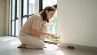 Cara Mengusir Tikus dengan Minyak Kayu Putih, Solusi Ampuh Tanpa Racun
