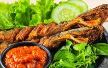 Aneka Resep Olahan Lele Lezat Mudah Dibuat di Rumah dan Tips Menghilangkan Bau Amis