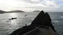 Pengunjung melihat pemandangan laut di Pulau Blasket dan Skellig, , Irlandia, Selasa (27/12). Irlandia mendapat julukan Pulau Zamrud karena memiliki pemandangan alam yang hijau terang. (REUTERS / Clodagh Kilcoyne)