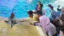 Pengunjung berusaha memegang lumba-lumba saat Atraksi Dolphin Christmas Show di Ocean  Dream Samudera Ancol, Jakarta, Jumat (25/15/2015). Pertunjukan tersebut diadakan dalam rangka menyambut libur Natal. (Liputan6.com/Gempur M Surya)