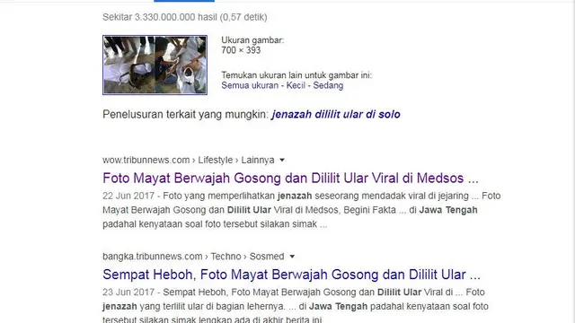 Gambar Tangkapan Layar Penelusuran Foto dengan Google Images