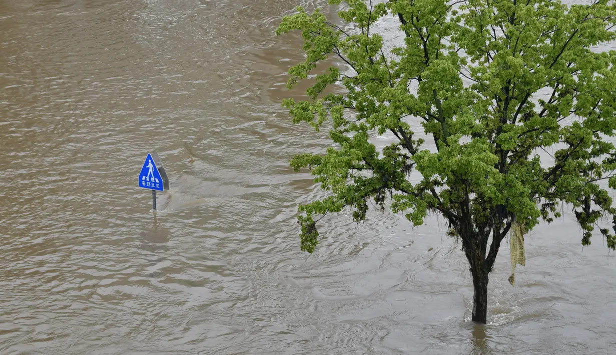 Tanda penyeberangan terlihat di taman yang banjir di samping sungai Han menyusul hujan deras di Seoul (11/8/2020). Musim hujan Korea Selatan, yang dimulai pada 24 Juni, menyamai rekor sebelumnya 49 hari yang ditetapkan pada 2013, kata Badan Meteorologi Korea. (AFP/Jung Yeon-je)