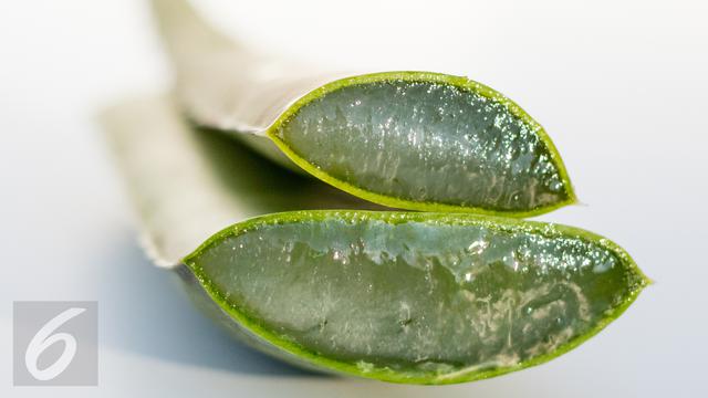 6 Obat Alami Untuk Asam Lambung Kronis Ampuh Kontrol Kadar Asam Hot Liputan6 Com