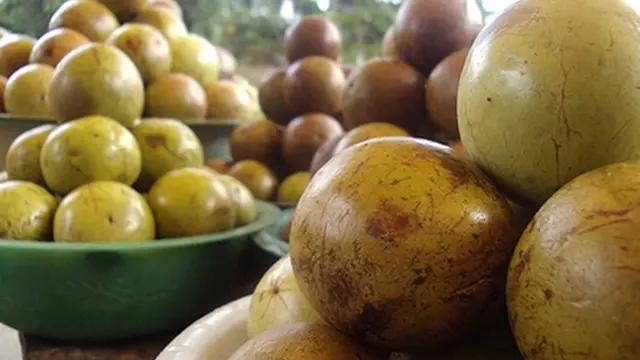 Courtesy Jemberbanget.com