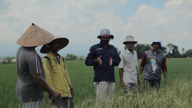 Pupuk Indonesia melakukan edukasi ke petani