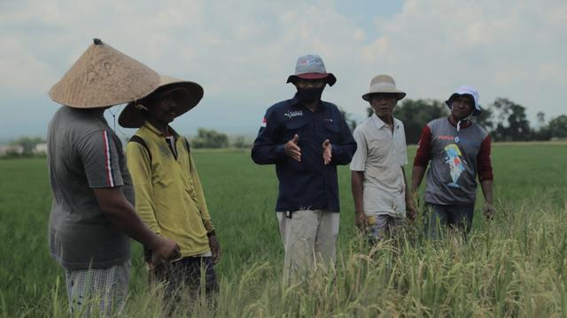 Pupuk Indonesia melakukan edukasi ke petani