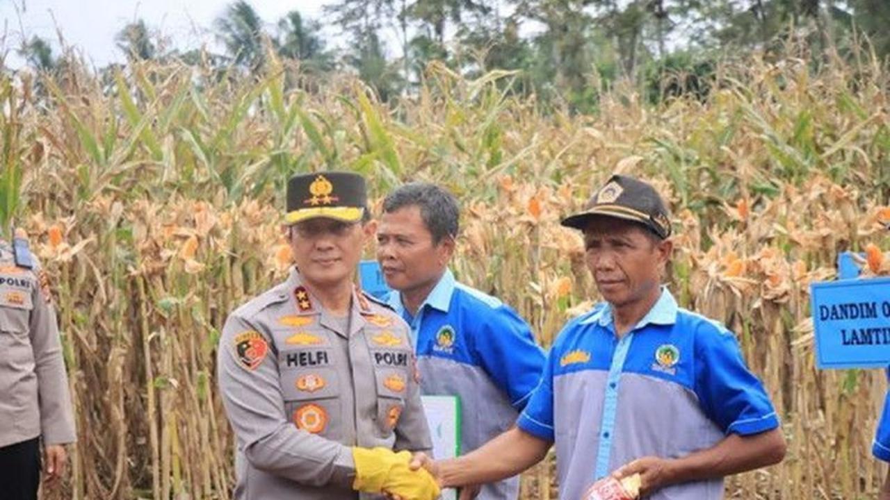 Polda Lampung Ungkap Serapan Jagung Bulog Capai 19 Ribu Ton, Perkuat Ketahanan Pangan Nasional