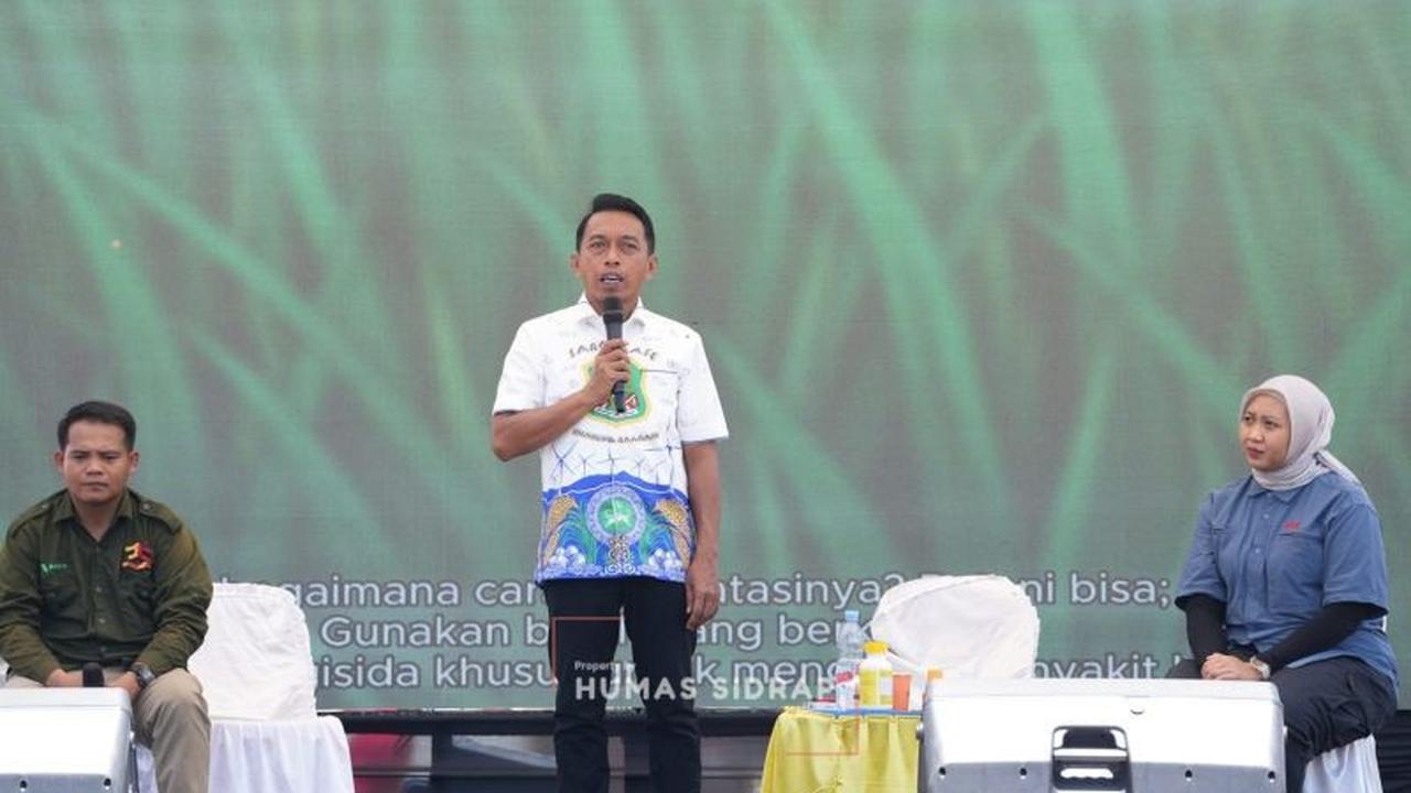 TeknoFarm Sarprofest Dorong Peningkatan Produktivitas Padi Sidrap Menuju Pertanian Modern