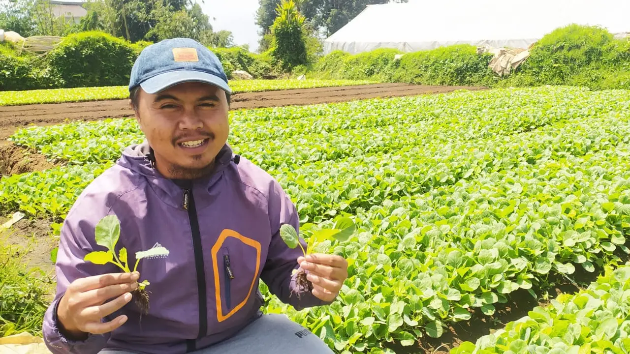 Salah satu keluarga Asep Bibit, petani sukses pembudidayaan bibit tanaman sayuran asal Pasirwangi Garut, Jawa Barat, memperlihatkan bibit berkualitas di area lahan taman mereka di Garut.