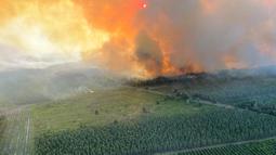 Pemandangan kebakaran hutan dekat Landiras, Prancis barat daya, 17 Juli 2022. Petugas pemadam kebakaran berjuang melawan kebakaran hutan yang berkobar di luar kendali di Prancis dan Spanyol ketika Eropa layu di bawah gelombang panas luar biasa ekstrem. (SDIS 33 via AP)