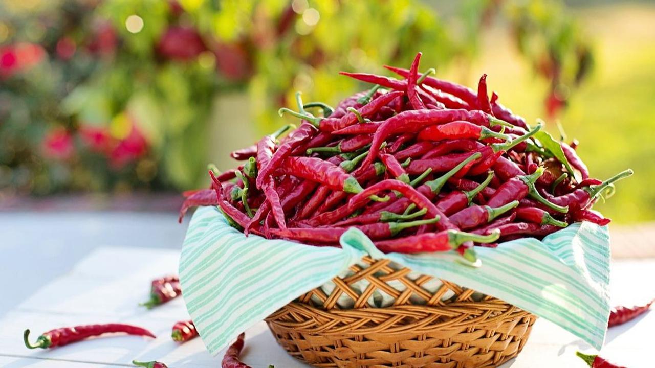 Dosis Cayenne Pepper
