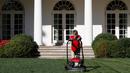 Anak laki-laki, Frank Giaccio mendorong mesin pemotong rumput di Rose Garden, Gedung Putih, Jumat (15/9). Frank yang sangat mengagumi bisnis yang dijalankan Donald Trump itu sedang menjalankan bisnis perawatan rumah bersama ayahnya. (AP/Jacquelyn Martin)
