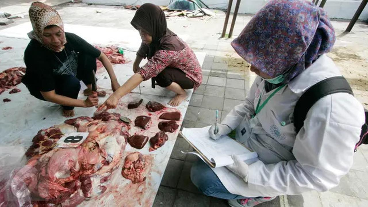 Daging Kurban Boleh Dimakan Oleh Orang yang Berkurban Sebanyak Apa? Ini Ketentuannya
