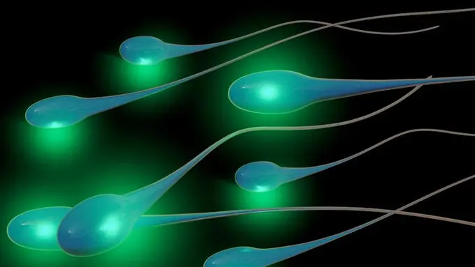 Mengenali Tanda-tanda Sperma Sehat