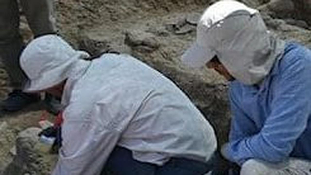 Batu Berusia 8,000 Tahun Ini Digunakan Manusia Purba untuk Berhitung, Begini Bentuknya