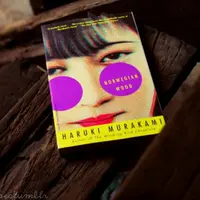 Norwegian Wood, Haruki Murakami. (cinderellainrubbershoes.tumblr.com)