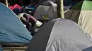 Seorang wanita keluar dari tenda di perkampungan tenda para tunawisma, kawasan Martin Place di Sydney, 2 Agustus 2017. Sydney kini tak hanya dipenuhi gedung bertingkat, tetapi juga disesaki tenda-tenda tunawisma. (PETER PARKS / AFP)