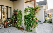 12 Tanaman yang Cocok untuk Kebun Mini di Pojok Rumah, Solusi Hijau Hunian Minimalis