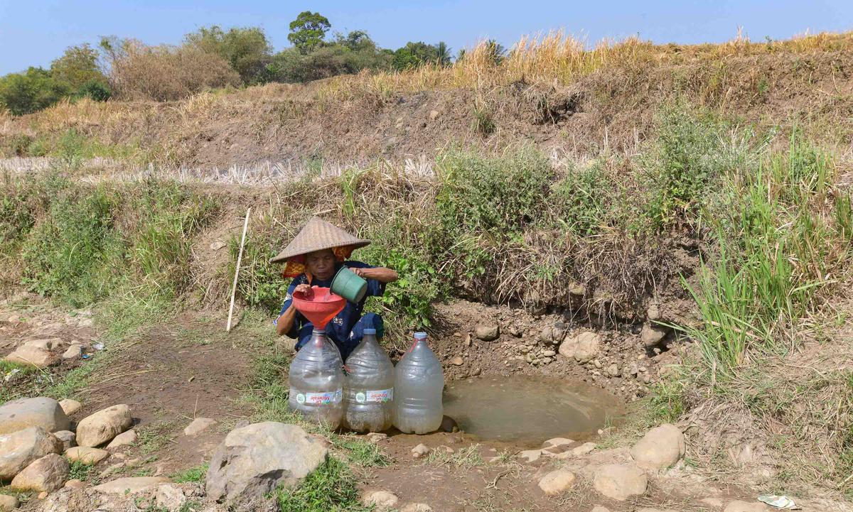 Warga Bertahan dari Kubangan Bekas Sawah di Tengah Kekeringan