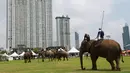 Para pemain Polo menunggang gajah saat bermain dalam turnamen Elephant Polo King's Cup di Bangkok, Thailand (8/3). Turnamen ini digelar bertujuan mengumpulkan dana untuk kehidupan populasi gajah liar. (AP Photo / Sakchai Lalit)