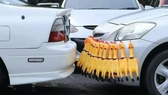 7 Momen Lucu Pintarnya Orang Saat Memecahkan Masalah