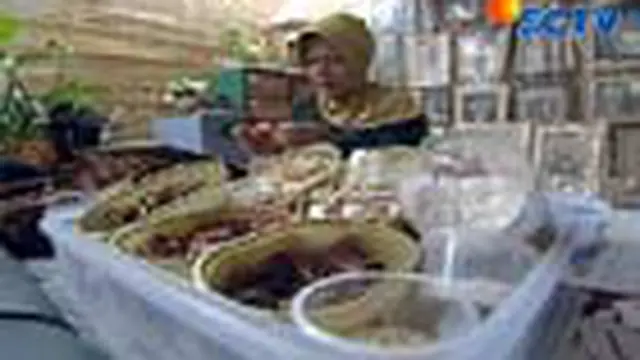 Daur Ulang Sampah Dapur Menjadi Hiasan Bunga