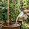 10 Tanaman yang Bisa Tumbuh dengan Siraman Air Beras, Pilihan Menarik untuk Mulai Berkebun