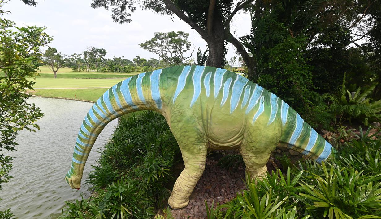 Replika dinosaurus seukuran aslinya, Brachiosaurus ditampilkan di sepanjang "Changi Jurassic Mile" sebuah jalan santai di Singapura (13/10/2020). Jalur sejauh 3,5 km itu biasa dilewati warga untuk bersepeda dan jalan. (AFP/Roslan Rahman)