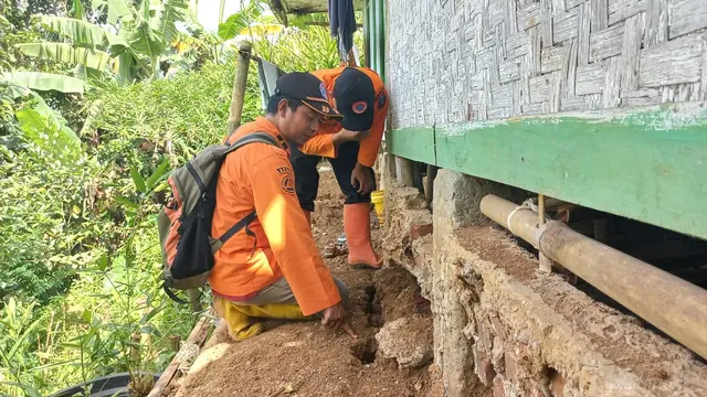 pergerakan tanah di Kampung Sawahjoho, Desa Singajaya, Kecamatan Singajaya, Kabupaten Garut, Jawa Barat, semakin meluas. (Foto: Liputan6.com/Jayadi Supriyadin)