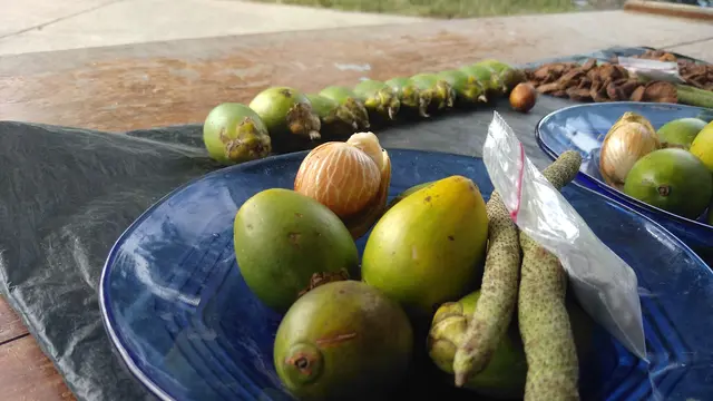 Paket Pinang