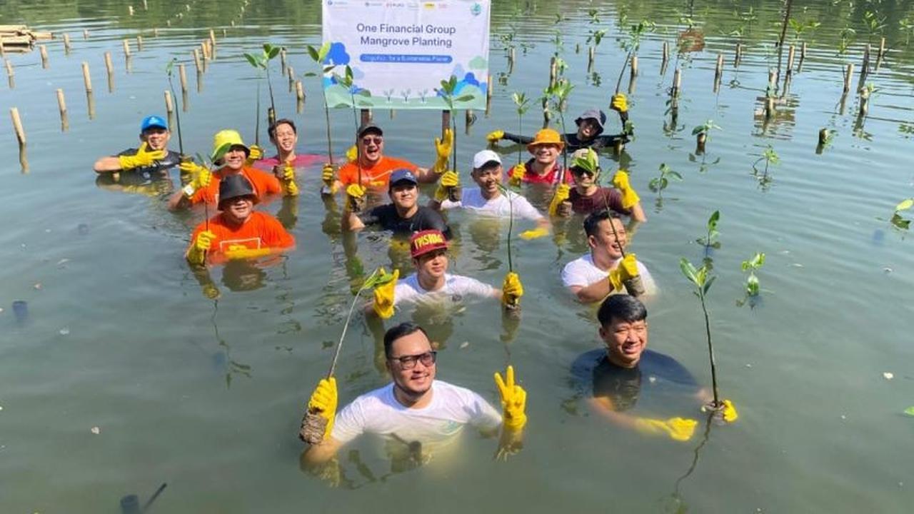 Tahukah Anda? Zurich Tanam Mangrove di 6 Kota Besar, Targetkan 1.500 Pohon untuk Lingkungan dan Emisi