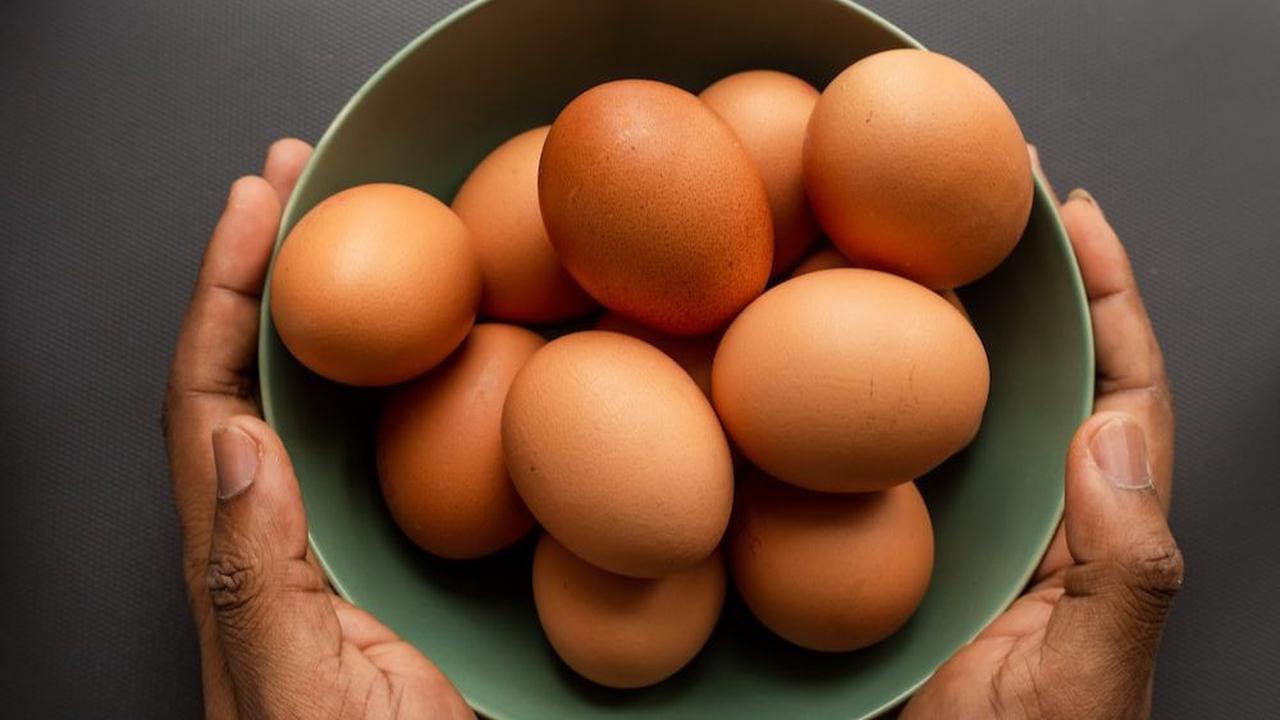 <b>Fakta Unik Telur</b><br>