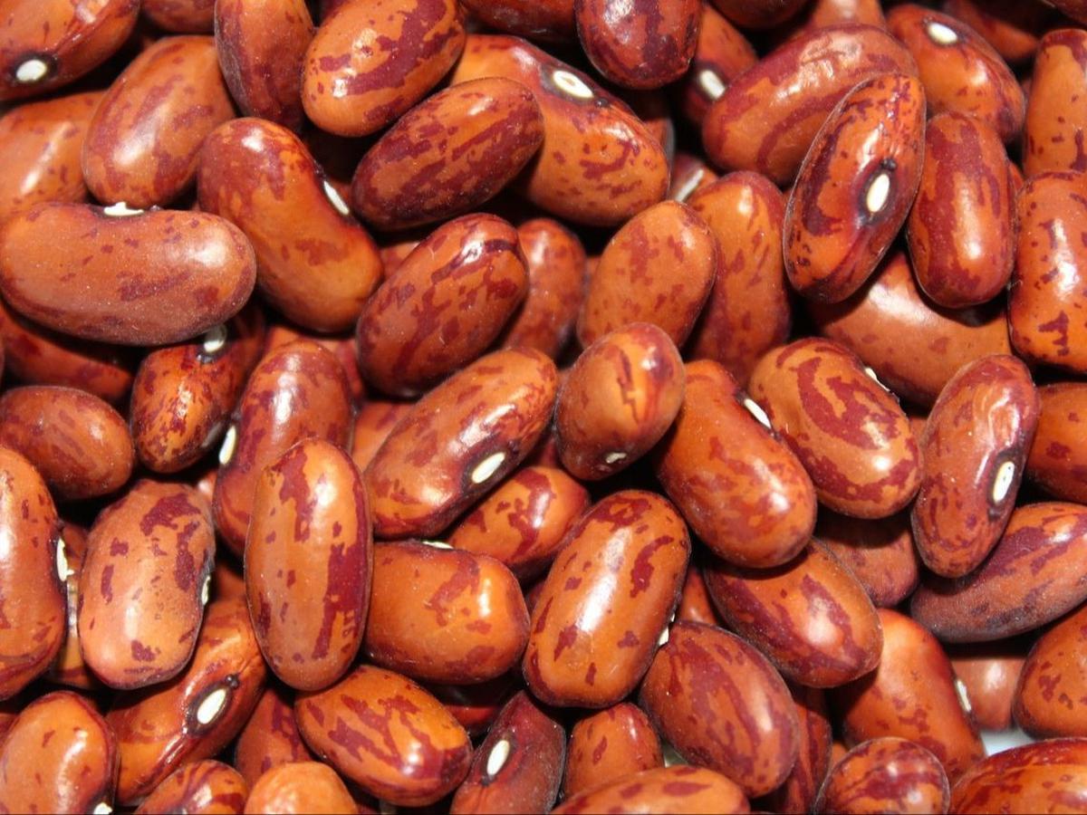 Sumber Vitamin B Kompleks