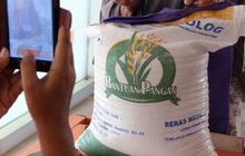 Usai Pencoblosan, Bulog Kembali Salurkan Bansos Beras 10 Kg di Bogor