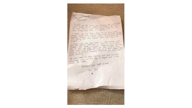 Kisah Bocah Kirim Surat untuk Kucingnya yang Sudah 