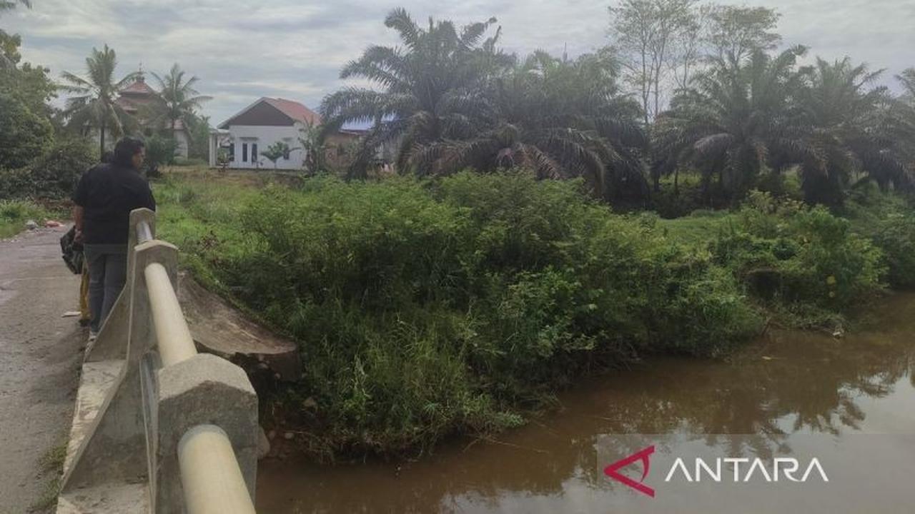 Bengkulu Targetkan Program Peremajaan Sawit Seluas 3.500 Hektare pada 2026
