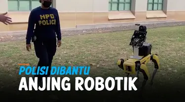 anjing robotik