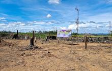 Kementerian Kehutanan Rebut Kembali Ribuan Hektar Hutan Bengkulu dari Perambahan Ilegal