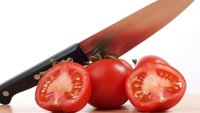 copyright by Shutterstock.com