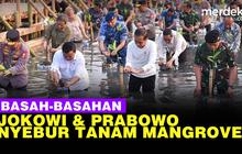 VIDEO: Prabowo & Jokowi Bareng Panglima TNI-Kapolri Nyebur Tanam Mangrove