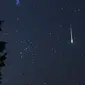 Hujan meteor perseid. Dok: NASA/Bill Dunford
