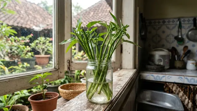 Perendaman Batang Kangkung