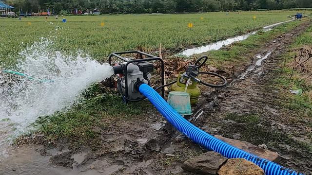 Program Pompanisasi Berdampak Positif pada Produksi Nasional