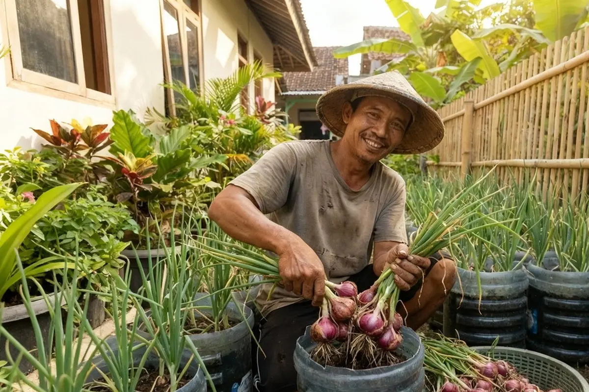 Cara Menanam Bawang Merah di Galon Bekas