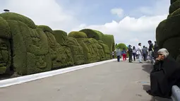 Tulcan adalah tempat makam yang sangat ramah untuk dikunjungi wisatawan. Makam ini terkenal dengan kuil dan  pohon cemaranya yang dipangkas membentuk hewan atau benda-benda tertentu, Senin (2/11/2015). (Reuters/ Guillermo Granja)