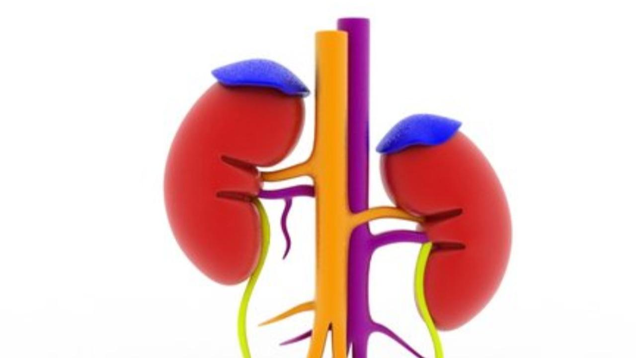 Diagnosis dan Penanganan Penyakit Addison