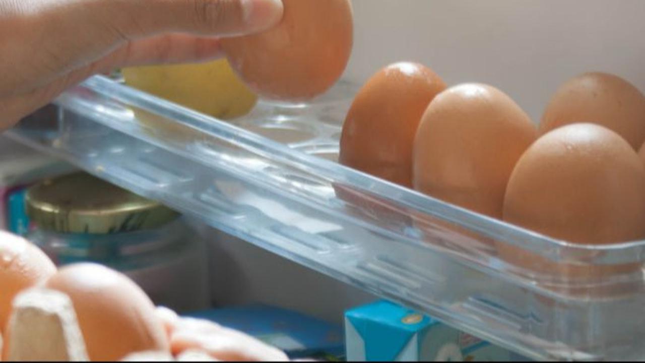 Si Kecil Selalu Ingin Makan Telur Setiap Hari, Bolehkah? Dokter Beri Penjelasan