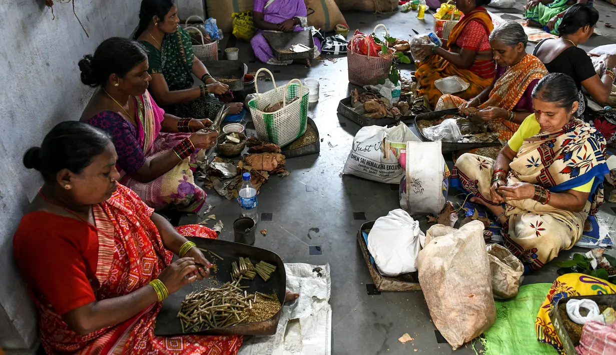 Para pekerja membuat rokok linting atau beedi di sebuah pabrik di Nizamabad, India, 10 Oktober 2019. Beedi terbuat dari campuran tembakau murah dan daun tendu kering. (NOAH SEELAM/AFP)