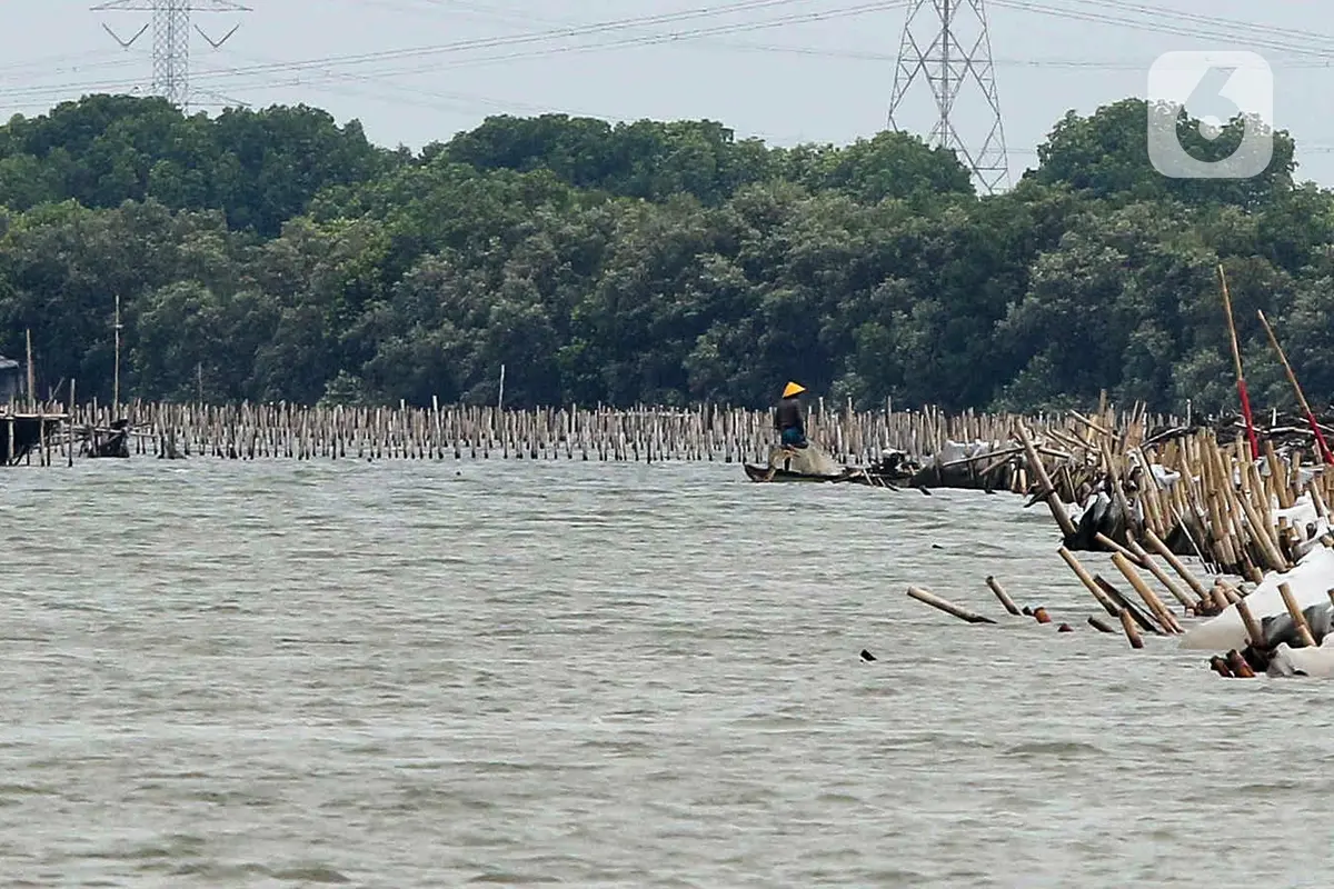 Awalnya Sah, Ini Penampakan Pagar Laut Bekasi yang Kini Disegel Dirjen PSDKP KKP